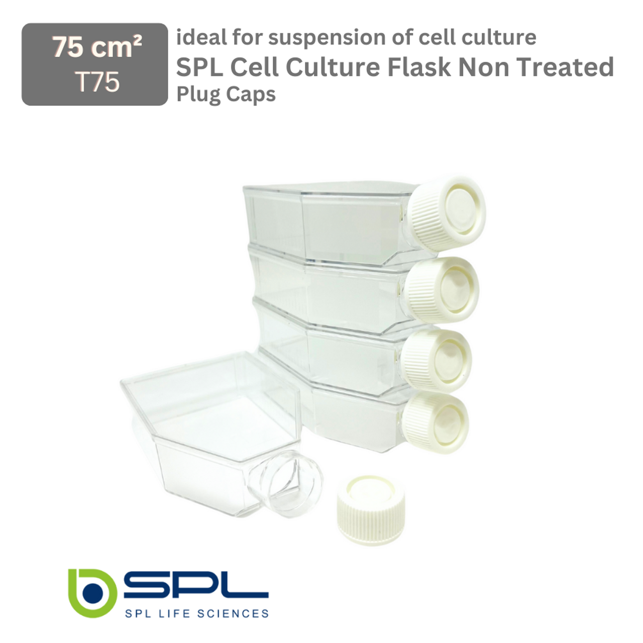 SPL Cell Culture Flask 75 cm2 (T75) Plug Ca