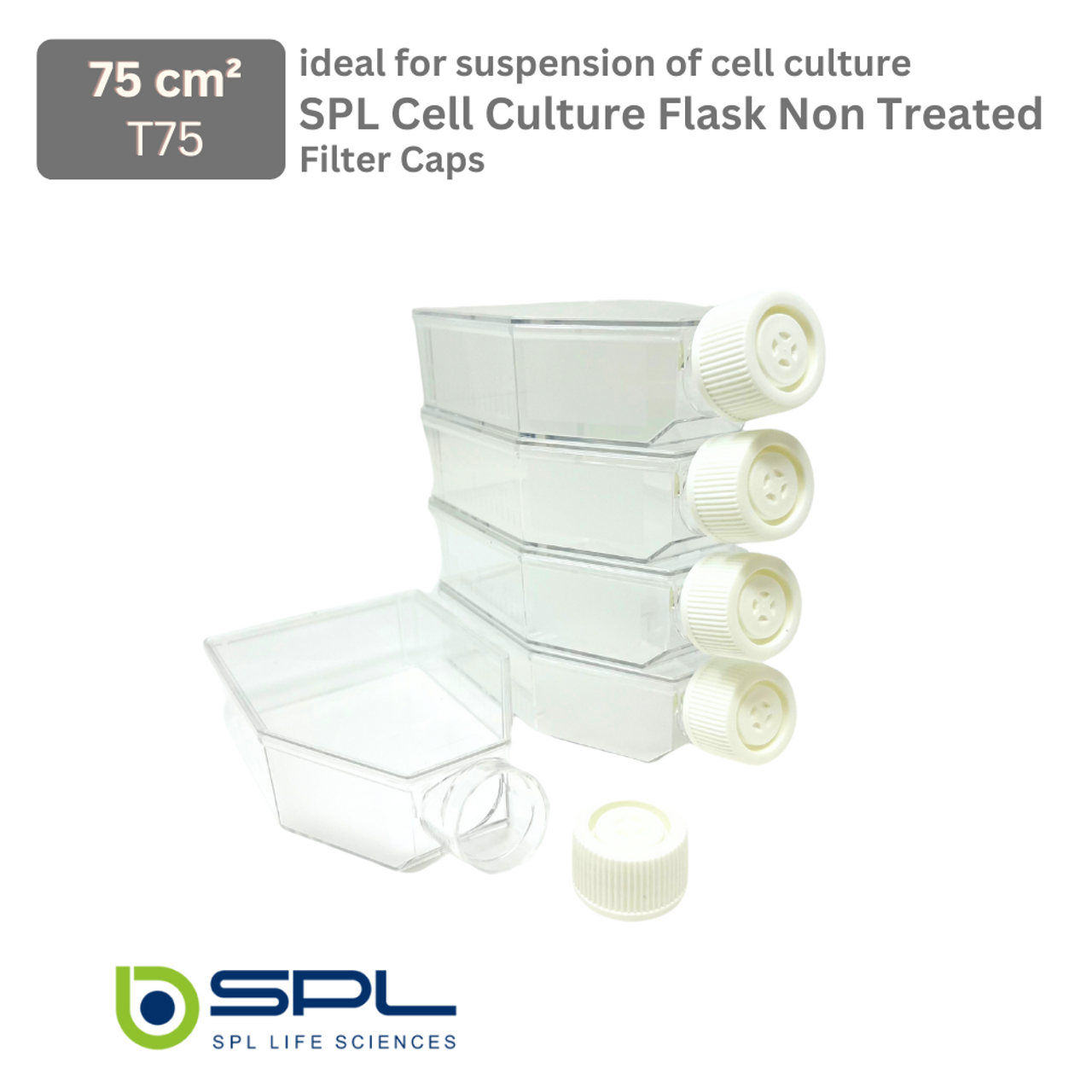 SPL Cell Culture Flask 75 cm2 (T75) Filter Cap, Non-treated