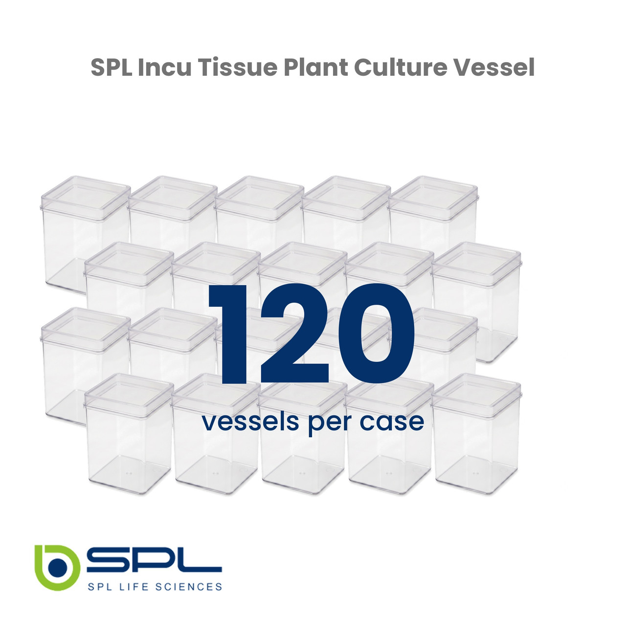 SPL Incu Tissue, PS, Square, 72x72x100mm, Sterile 310070