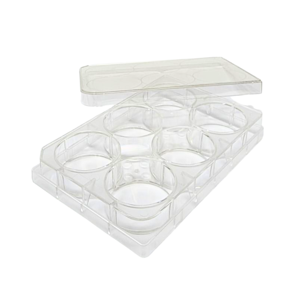 SPL 6 wells Cell Culture Plate  32006