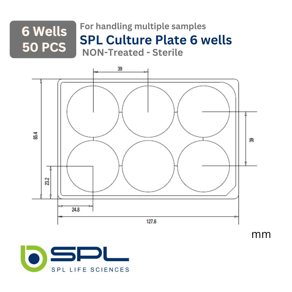 SPL 6 wells Cell Culture Plate  32006