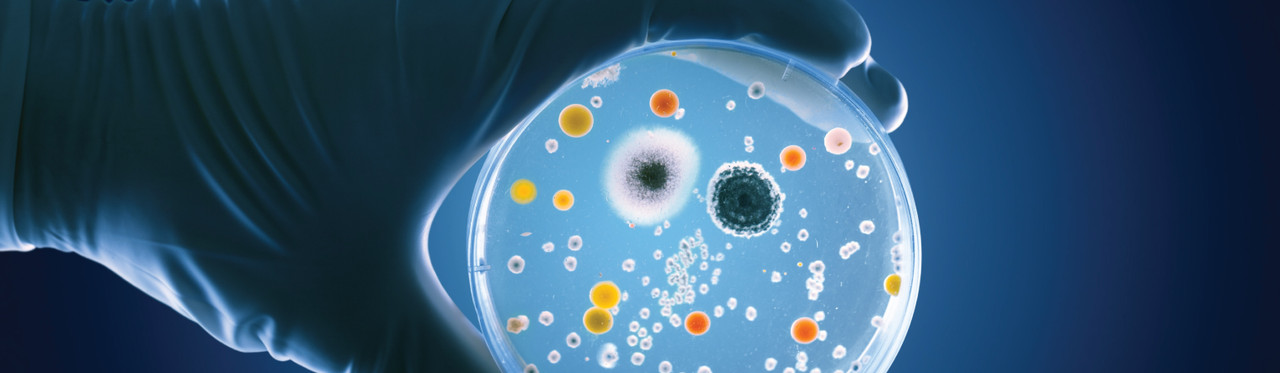 Beyond the Genome: Cancer’s Microbial Signature