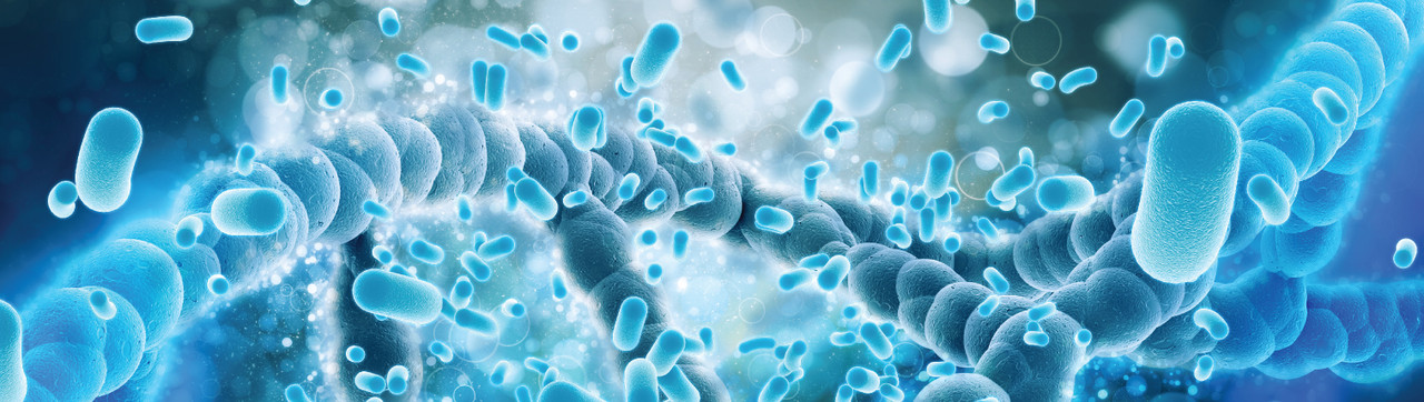 Novel Gut Enzyme Offers New Insights into β‑1,2‑Galactooligosaccharides and Microbiome Function