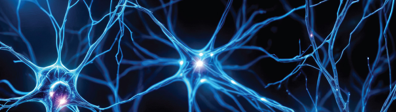 Unlocking Nerve Cell Regeneration: How m6A RNA Modification Fuels Repair