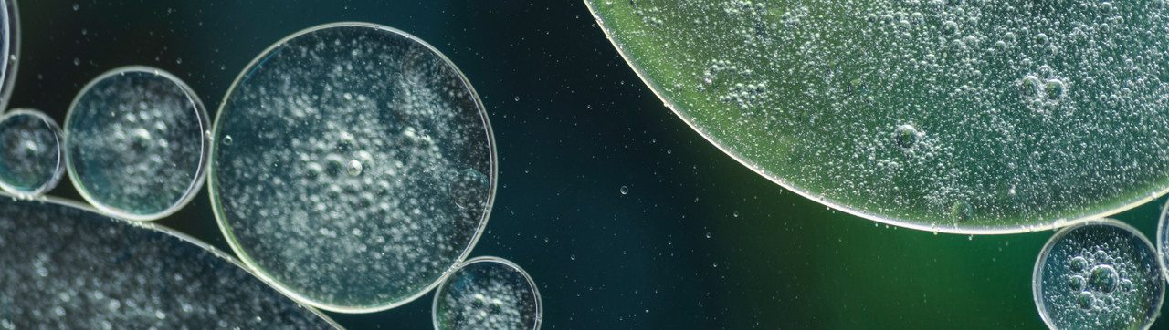 The Science of Steam: Recent Insights into Laboratory Sterilization