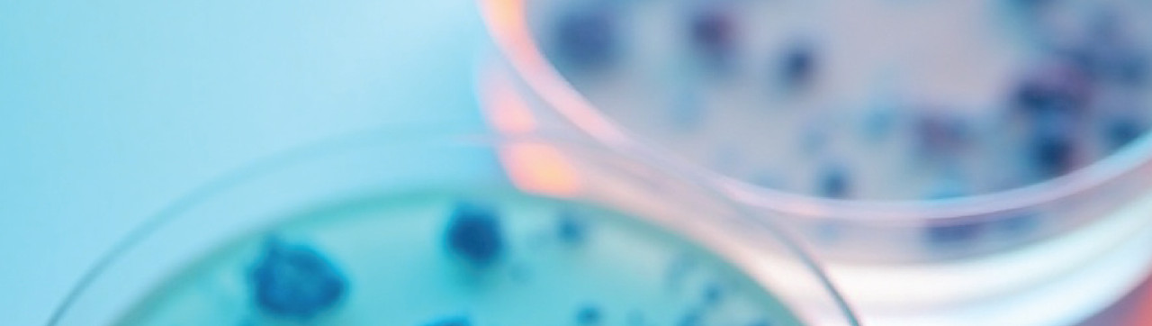 TBX Chromogenic Agar: Research-Based Strengths and Limitations in E. coli Detection