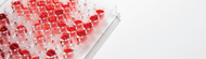 Beyond Blood Types: How Japanese Researchers Are Rethinking Blood Substitutes