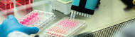 Optimizing Genomics Workflows: The Role of High-Quality Lab Plastics & Consumables