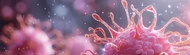 From Static Genomes to Dynamic Proteomes: How AI 'Virtual Cells' Are Rewriting Oncological Drug Discovery