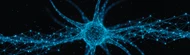 Shining Light on Cellular Control: The 2026 Nobel Prize in Physiology or Medicine and Its Impact on Modern Lab Workflows