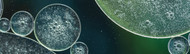 The Science of Steam: Recent Insights into Laboratory Sterilization The Science of Steam: Recent Insights into Laboratory Sterilization
