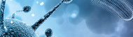 Immune Regulation and the 2025 Nobel Prize: What Regulatory T Cells Mean for Modern Molecular Biology Immune Regulation and the 2025 Nobel Prize: What Regulatory T Cells Mean for Modern Molecular Biology