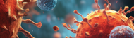 Beyond Flu-Like Symptoms: What Recent Ebola and Hantavirus Updates Reveal About the Critical Role of Molecular Diagnostics