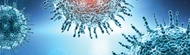 Why Researchers Are Watching Hantavirus More Closely Again