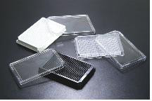 SPL 384 well Cell Culture Plate PS TC Treated, Sterile Flat Bottom