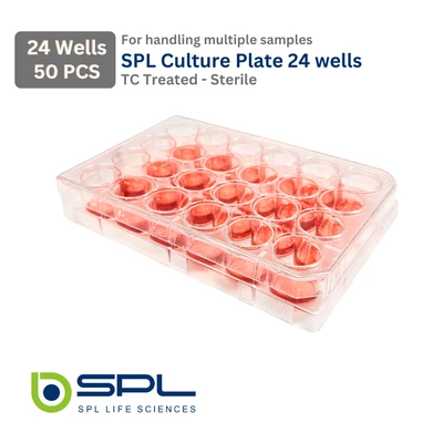 SPL 24 wells Cell Culture Plate Flat Bottom