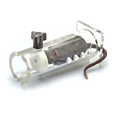 IBI Large Mouse Restraint – 1.25” inner diameter
