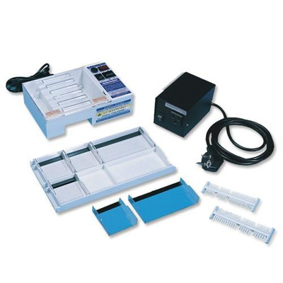 Bioer GE100 Horizontal Mini Gel Electrophoresis System with build-in power supply.