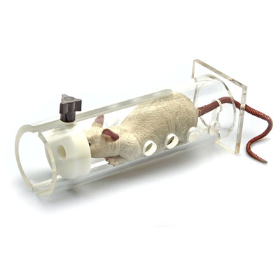 IBI Small Rat Restraint - 2" inner diameter