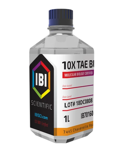 IBI 10X Tae Buffer Concentrate 1L