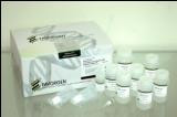 FavorPrep Plasmid DNA Extraction MAXIPrep Kit (EndoToxin-Free) – FAPDE-003-EF