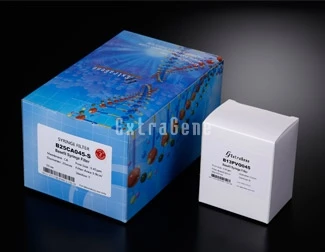Extragene Hydrophilic PVDF Syringe Filter, 13mm