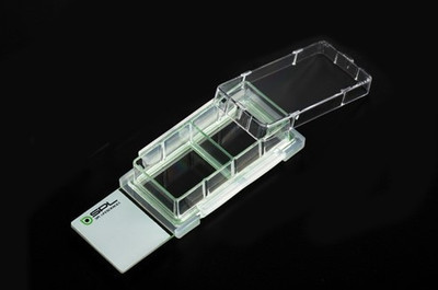 SPL Cell Culture Chamber slide