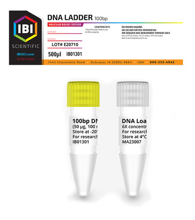 IBI - 100BP DNA LADDER