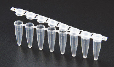 SPL PCR Tube, PP, Flat Cap, Strip Tube, 0.2ml, (sleeve/case) 120/120