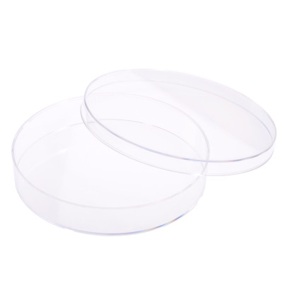 SPL Cell Culture Dish, 150 x 20 mm 11150