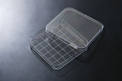 SPL Square Dishes 500 cm2