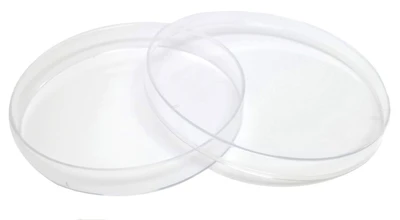 SPL 3D Cell Floater Dish