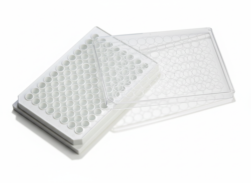 A white 96-well cell culture plate with a round bottom.