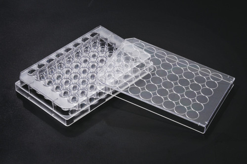 SPL 48 wells Cell Culture Plate Flat Bottom 30048