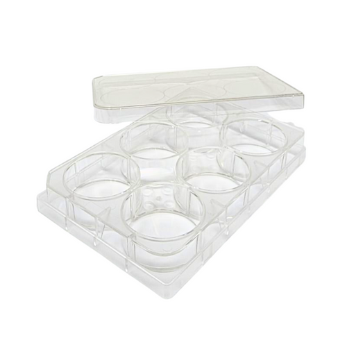 SPL 6 wells Cell Culture Plate  30006