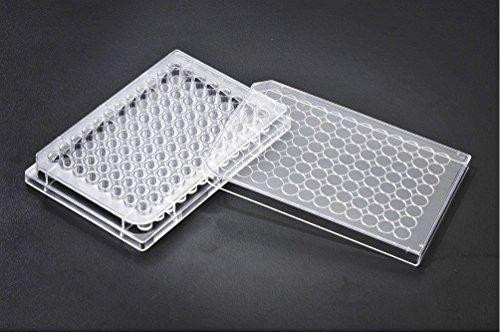 SPL Multi well Culture Plate PS 96 wells