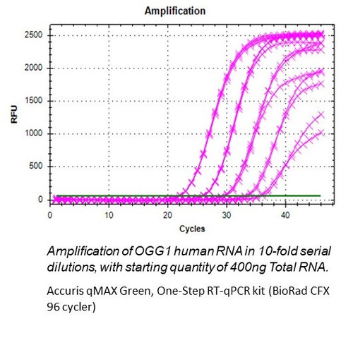 Accuris qMAX Probe One-Step Multiplex RT-qPCR Kit PR2122-N-100