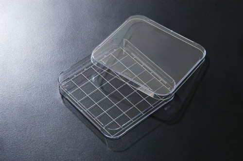SPL Square Dish PS Area 139 cm2 Sterile TC treated Case of 60