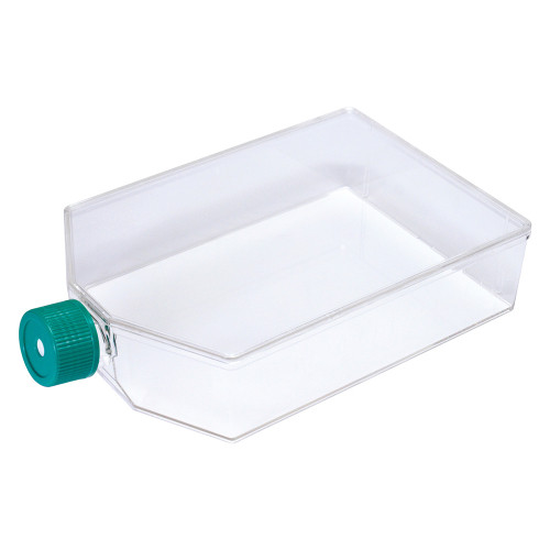 SPL Cell Culture Flask 225 cm2 with Filter Cap,PS, TC treated