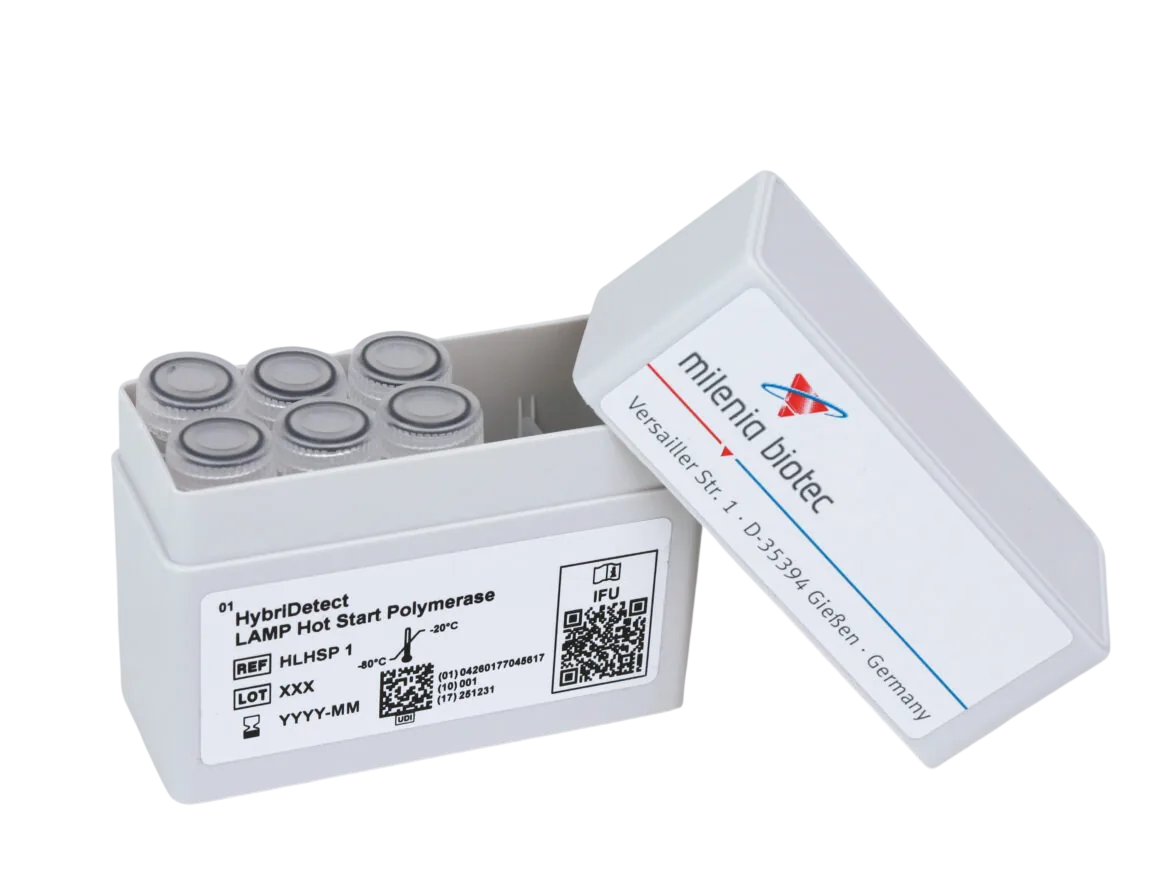 Mechanism of Labeled LAMP Amplicon Detection on HybriDetect