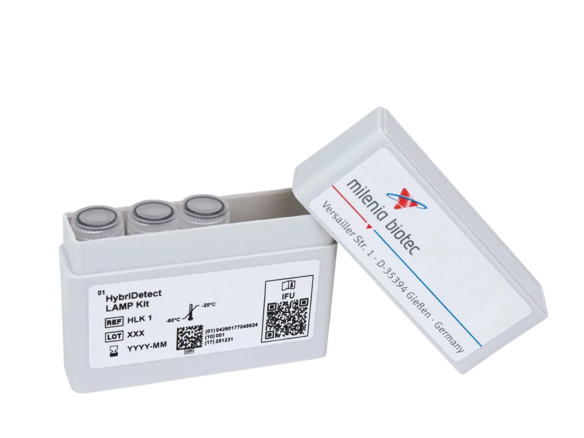 LAMP Amplicon Detection on HybriDetect Strip
