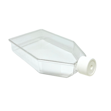SPL Life Sciences SPL Cell Culture Flask 175 cm2 (T175) Filter Cap