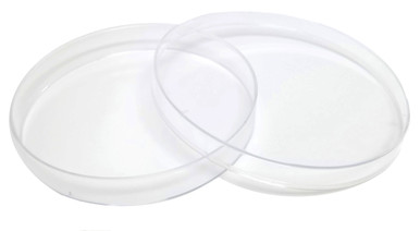 Transparent Petri Dishes With Lid - Polystyrene Material, Vents