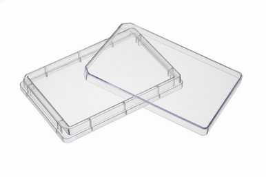 Stry Plate SPL Life Sciences SPL Tray Plate, Polystyrene, Sterile, 10 pack of 10 ...