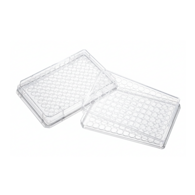 SPL Life Sciences SPL Multi well Culture Plate 96 wells, TC