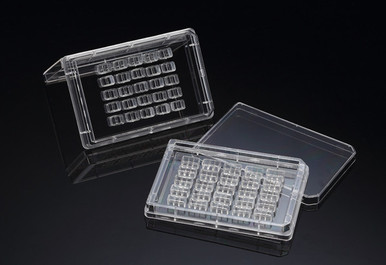 Splare Block SPL SPLScar™ Block, Individual, 2 block well, Sterile (25 Block/Case)