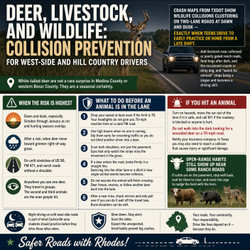 Deer, Livestock, and Wildlife: Collision Prevention for West-Side and Hill Country Drivers