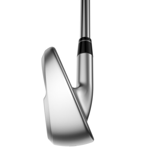Callaway Apex Ai300 Irons - Wide World of Golf