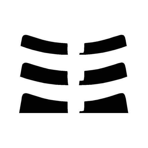 2018-2022 Lexus RX-L Series (Visor / Eye brow) Precut Tint Kit Automotive Window Film