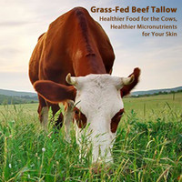 Sample - Epic Glow Tallow Balm with Green Pasture® Oils, 1/4 fl. oz. (7 ml) Sample - Epic Glow Tallow Balm with Green Pasture® Oils, 1/4 fl. oz. (7 ml)
